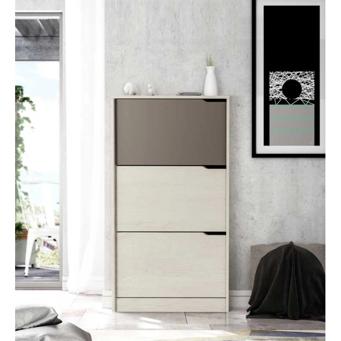  Meuble à chaussures 3 portes