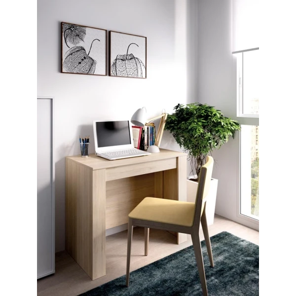 Table extensible avec 5 positions. Table adaptable. De bureau à table de 2 à 10 convives. Rangement facile. Idéale invités.