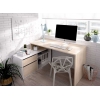 TABLE DE BUREAU EN L OTTO