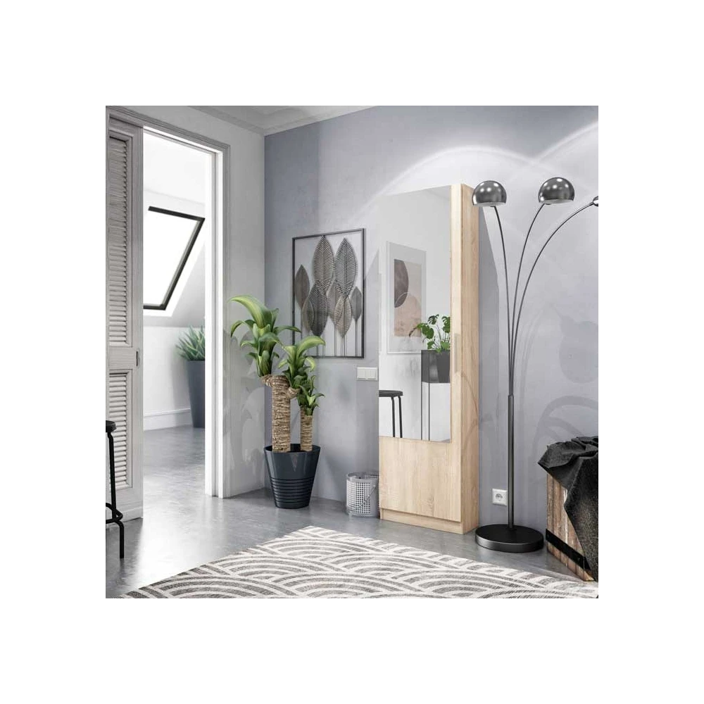 meuble a chaussure a glace