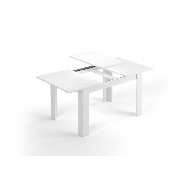 Table à feuilles extensibles