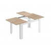 Table bicolore