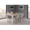 Table pour 4 - 6 personnes